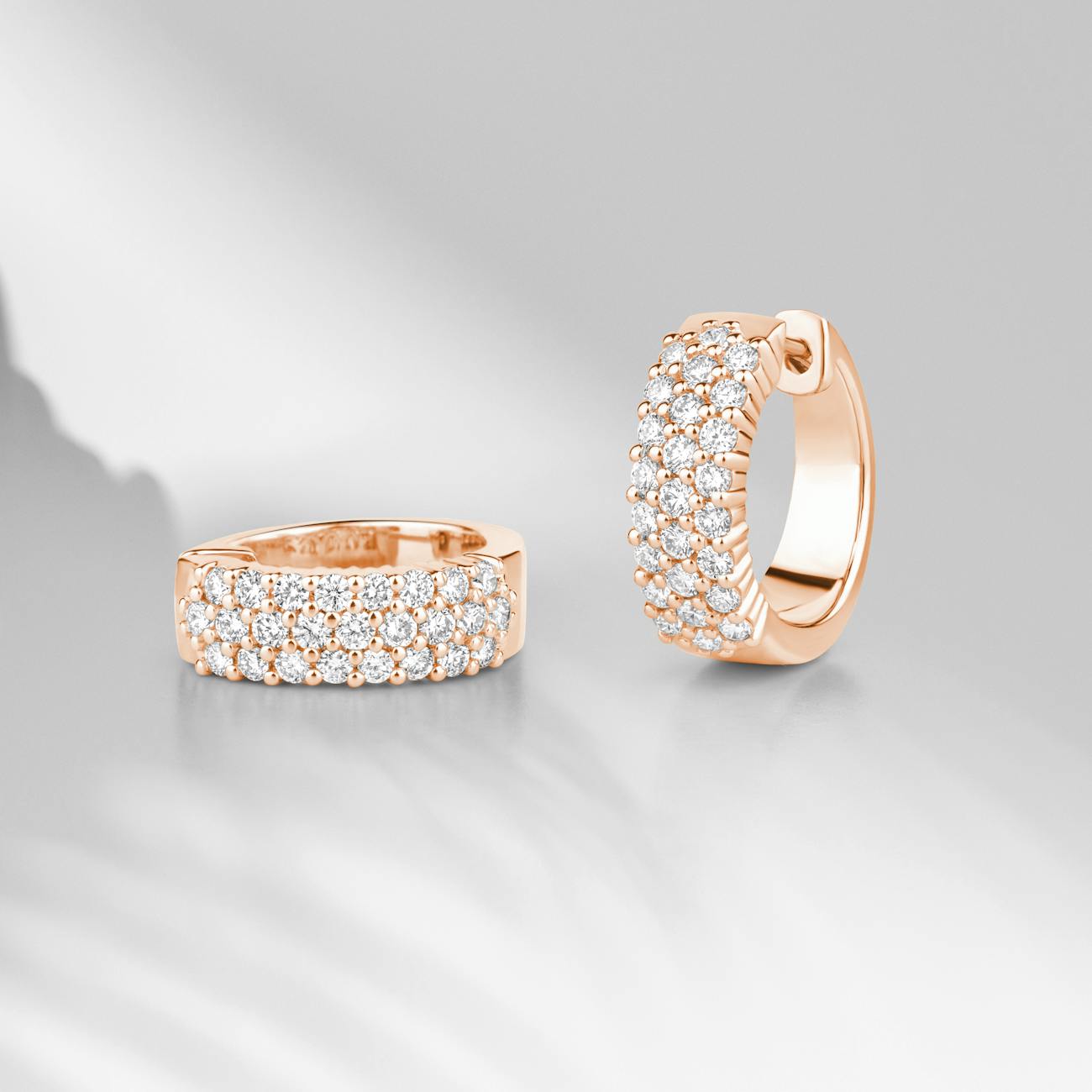 Elegant Earrings Luxora Jeweler